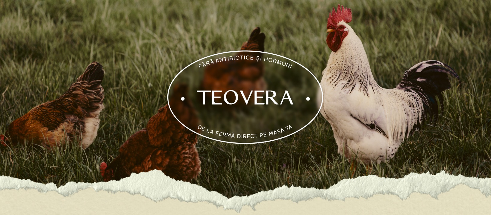 Avicola Teovera